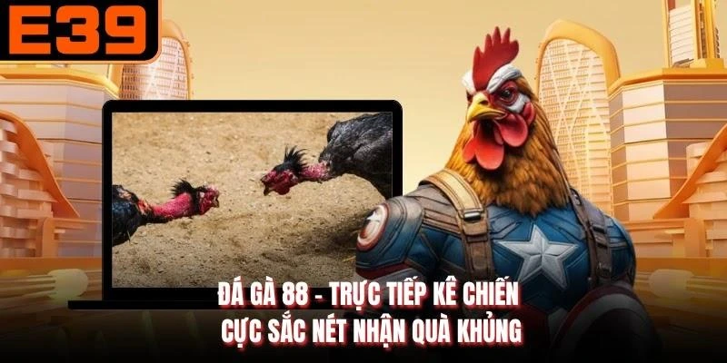 Đá Gà 88 - Trực Tiếp Kê Chiến Cực Sắc Nét Nhận Quà Khủng