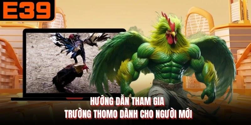 Hướng dẫn tham gia trường Thomo dành cho người mới