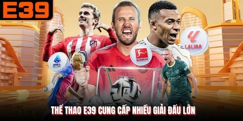 Thể thao E39 cung cấp nhiều giải đấu lớn