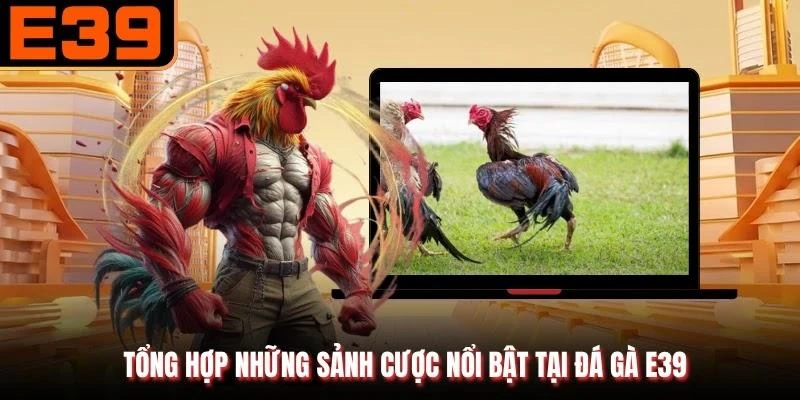 Tổng hợp những sảnh cược nổi bật tại đá gà E39